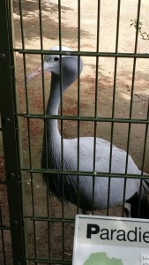 20150618_101538