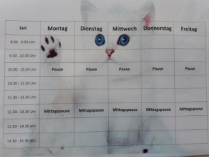 IMG-20170628-WA0001