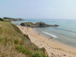 DSCN0768