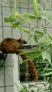 zoo