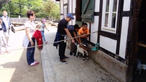 zoo3