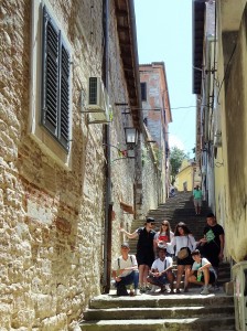 DSC00204 (2)