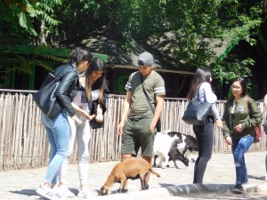 DSCN0428